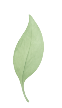 Leaf Icon