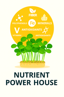 Nutrient Powerhouses